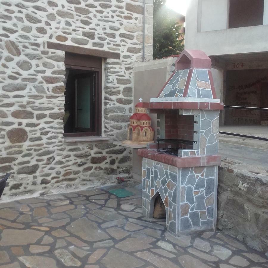 To Petrino Holidays House Metagkitsi Kültér fotó